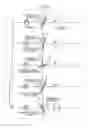 Fig. 05 - CONTROL METHOD OF TRANSLATION DEVICE, TRANSLATION DEVICE, AND NON-TRANSITORY COMPUTER-READABLE RECORDING MEDIUM STORING A PROGRAM