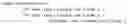Fig. 02 - AUTHOR TERM AFFINITY
