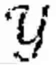 Fig. 03 - Data masking