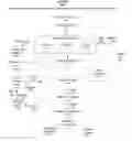 Fig. 01 - User published auctions in online mediums