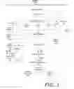 Fig. 02 - User published auctions in online mediums