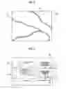 Fig. 06 - IMAGE PROCESSING APPARATUS, ENDOSCOPE SYSTEM, AND IMAGE PROCESSING METHOD