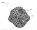 Fig. 01 - Generating a three-dimensional model from a scanned object