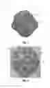 Fig. 02 - Generating a three-dimensional model from a scanned object