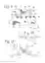 Fig. 05 - METHOD AND APPARATUS FOR MENTALLY STIMULATING A PERSON WITH A MENTAL DISABILITY