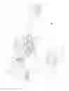 Fig. 02 - Apparatus to simulate driving a land vehicle