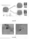 Fig. 04 - Contact passivation for perovskite optoelectronics