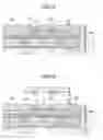 Fig. 10 - Wiring substrate