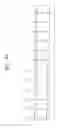 Fig. 05 - Semiconductor devices including a capping layer