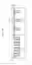 Fig. 23 - Semiconductor devices including a capping layer