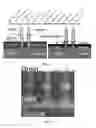 Fig. 02 - Method for vertical gate-last process