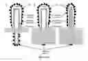 Fig. 09 - SEMICONDUCTOR STRUCTURES FOR FUEL GENERATION