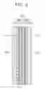 Fig. 03 - Fuel cell system