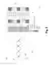 Fig. 06 - Flexible CSI RS configuration for FD-MIMO systems