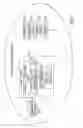 Fig. 02 - Responding to alerts