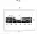 Fig. 09 - Image processing device, imaging device, image processing method, and program
