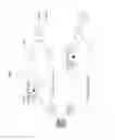 Fig. 07 - METHOD AND DEVICE FOR CORRECTING DISTORTION OF PANORAMIC VIDEO