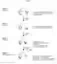 Fig. 10 - Means and Methods for Detecting Methylated DNA