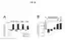 Fig. 13 - Means and Methods for Detecting Methylated DNA