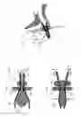 Fig. 28 - EARPLUGS, EARPHONES, AND EARTIPS
