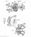Fig. 35 - EARPLUGS, EARPHONES, AND EARTIPS