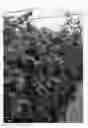 Fig. 02 - Raspberry plant named 'ABB 120'