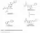 Fig. 02 - Methods for Identifying Compounds that Directly Bind to Insect Transient Receptor Potential Channels