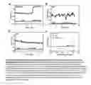 Fig. 06 - Methods for Identifying Compounds that Directly Bind to Insect Transient Receptor Potential Channels