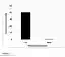 Fig. 02 - READY-TO-DRINK BEVERAGES WITH IMPROVED TEXTURE BY CONTROLLED PROTEIN AGGREGATION