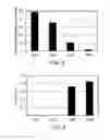 Fig. 07 - Subcritical water extraction of fruit material