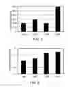Fig. 08 - Subcritical water extraction of fruit material