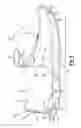 Fig. 07 - Dynamic lacing system