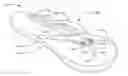 Fig. 01 - FOOTWEAR RETAINER
