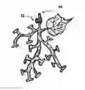 Fig. 01 - STEM FOR ARTIFICIAL FRUIT OR FLOWER