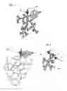 Fig. 02 - STEM FOR ARTIFICIAL FRUIT OR FLOWER