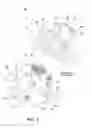 Fig. 02 - Facial mask