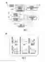 Fig. 03 - Wearable apparatus