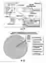Fig. 12 - Wearable apparatus
