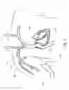 Fig. 02 - Devices and methods for vascular navigation, assessment and/or diagnosis