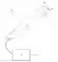 Fig. 01 - Bladder mapping