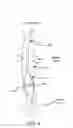 Fig. 05 - Devices and methods for measurement of Vena Cava dimensions, pressure and oxygen saturation