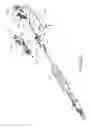 Fig. 09 - Suturing device for minimally invasive surgery
