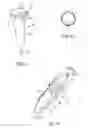 Fig. 23 - Devices, systems, and methods for knotless suture anchors