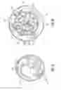 Fig. 22 - Sealing multiple surgical instruments
