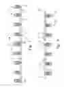 Fig. 08 - Maxillomandibular fixation devices