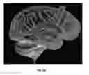 Fig. 10 - System and method for providing surgical guidance based on polarization-sensitive optical coherence tomography