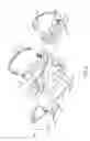 Fig. 07 - Shoulder and Arm Support