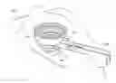 Fig. 01 - Patient interface for ophthalmologic diagnostic and interventional procedures