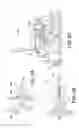 Fig. 09 - Suspension for wheeled vehicles