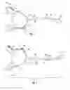 Fig. 02 - Range of motion flexibility device and method of use